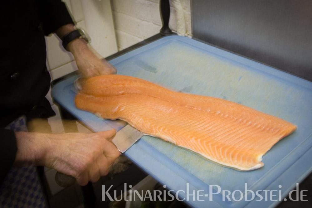 ostseelachs-in-sauer-1-03