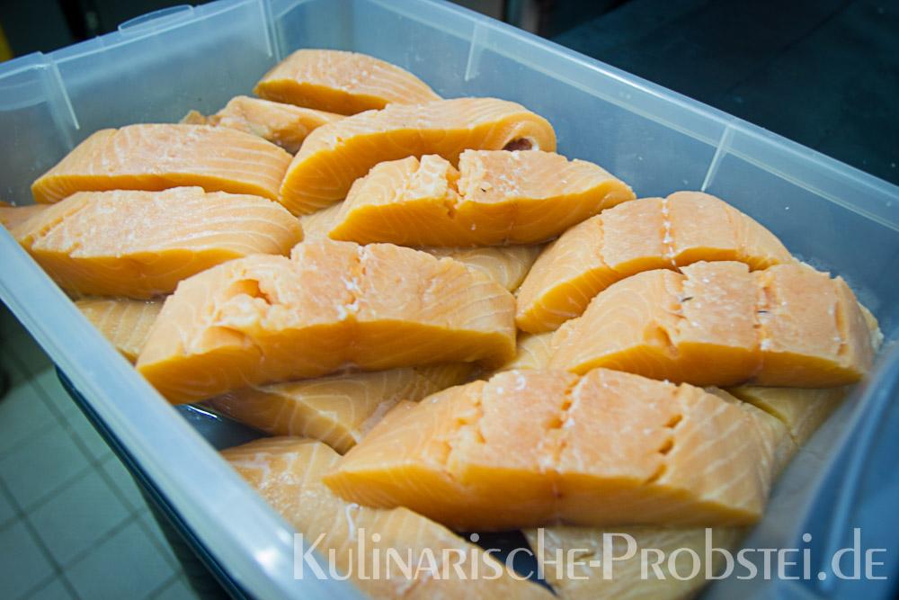 ostseelachs-in-sauer-1-08